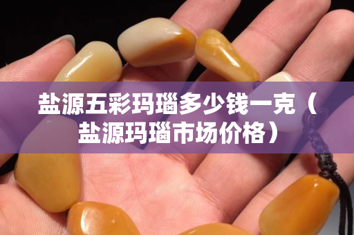 鹽源五彩瑪瑙多少錢一克（鹽源瑪瑙市場價格）