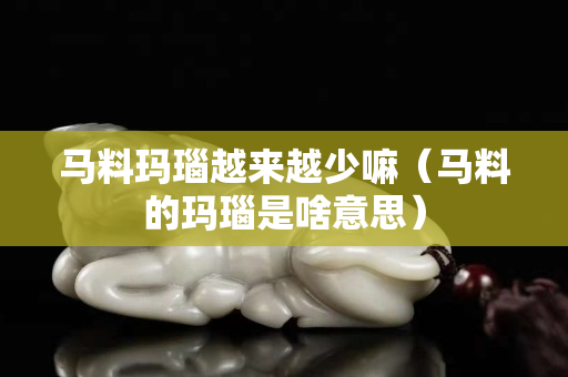 馬料瑪瑙越來越少嘛（馬料的瑪瑙是啥意思）