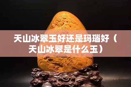 天山冰翠玉好還是瑪瑙好（天山冰翠是什么玉）