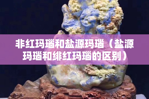 非紅瑪瑙和鹽源瑪瑙（鹽源瑪瑙和緋紅瑪瑙的區別）