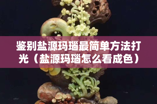鑒別鹽源瑪瑙最簡單方法打光（鹽源瑪瑙怎么看成色）