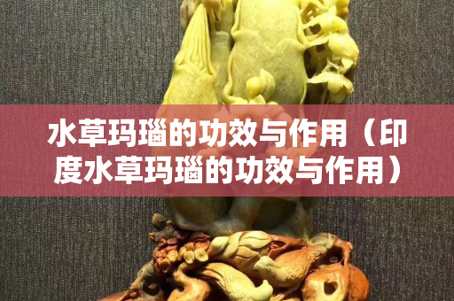 水草瑪瑙的功效與作用（印度水草瑪瑙的功效與作用）