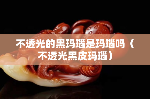 不透光的黑瑪瑙是瑪瑙嗎（不透光黑皮瑪瑙）
