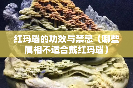 紅瑪瑙的功效與禁忌（哪些屬相不適合戴紅瑪瑙）