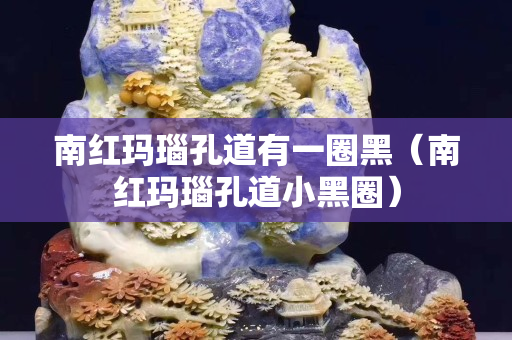 南紅瑪瑙孔道有一圈黑（南紅瑪瑙孔道小黑圈）