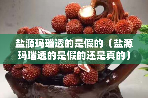 鹽源瑪瑙透的是假的（鹽源瑪瑙透的是假的還是真的）