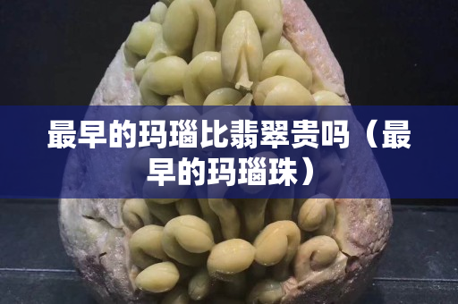 最早的瑪瑙比翡翠貴嗎（最早的瑪瑙珠）