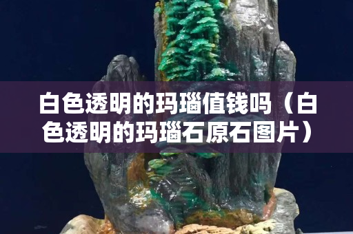 白色透明的瑪瑙值錢嗎（白色透明的瑪瑙石原石圖片）