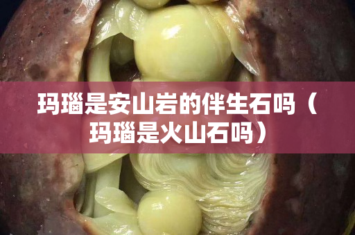 瑪瑙是安山巖的伴生石嗎（瑪瑙是火山石嗎）