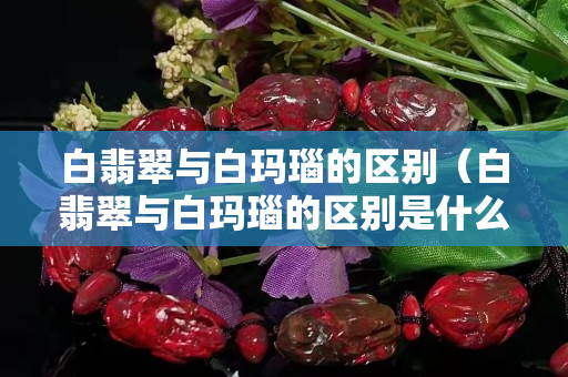 白翡翠與白瑪瑙的區別（白翡翠與白瑪瑙的區別是什么）