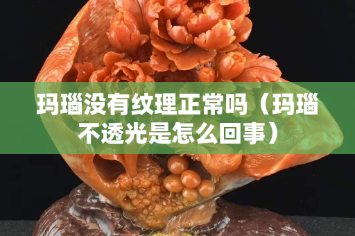 瑪瑙沒有紋理正常嗎（瑪瑙不透光是怎么回事）