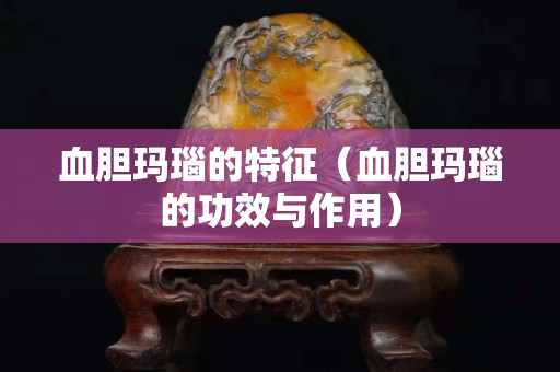 血膽瑪瑙的特征（血膽瑪瑙的功效與作用）