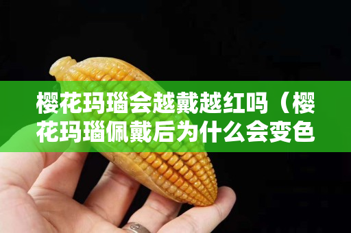 櫻花瑪瑙會越戴越紅嗎（櫻花瑪瑙佩戴后為什么會變色）