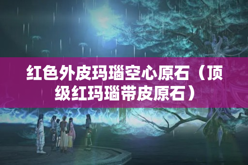 紅色外皮瑪瑙空心原石（頂級紅瑪瑙帶皮原石）