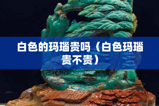 白色的瑪瑙貴嗎（白色瑪瑙貴不貴）