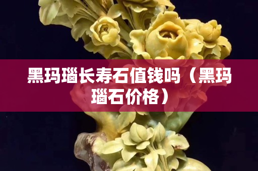 黑瑪瑙長壽石值錢嗎（黑瑪瑙石價格）