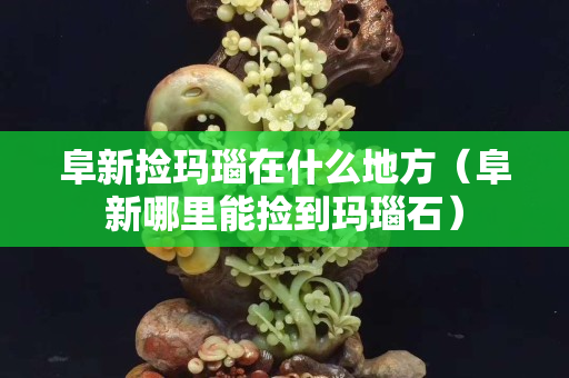 阜新撿瑪瑙在什么地方（阜新哪里能撿到瑪瑙石）