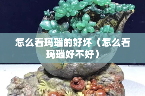 怎么看瑪瑙的好壞（怎么看瑪瑙好不好）