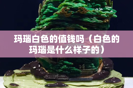 瑪瑙白色的值錢嗎（白色的瑪瑙是什么樣子的）