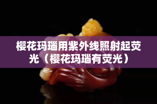 櫻花瑪瑙用紫外線照射起熒光（櫻花瑪瑙有熒光）