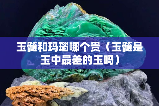 玉髓和瑪瑙哪個貴（玉髓是玉中最差的玉嗎）