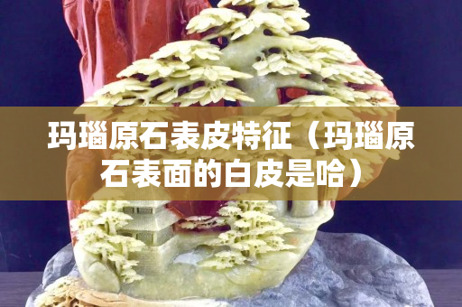 瑪瑙原石表皮特征（瑪瑙原石表面的白皮是哈）
