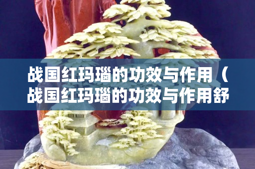 戰國紅瑪瑙的功效與作用（戰國紅瑪瑙的功效與作用舒俱來有抗癌功效嗎）