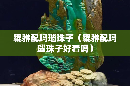 貔貅配瑪瑙珠子（貔貅配瑪瑙珠子好看嗎）