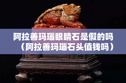 阿拉善瑪瑙眼睛石是假的嗎（阿拉善瑪瑙石頭值錢嗎）