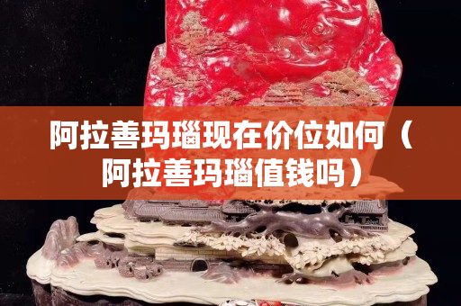 阿拉善瑪瑙現(xiàn)在價(jià)位如何（阿拉善瑪瑙值錢嗎）