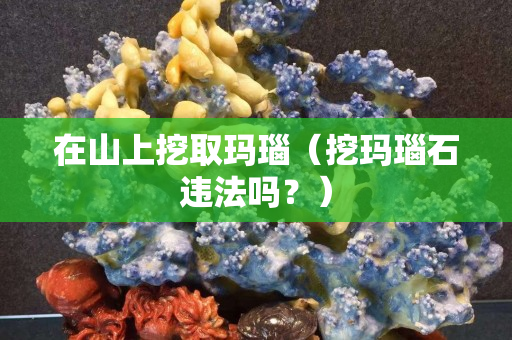 在山上挖取瑪瑙（挖瑪瑙石違法嗎？）