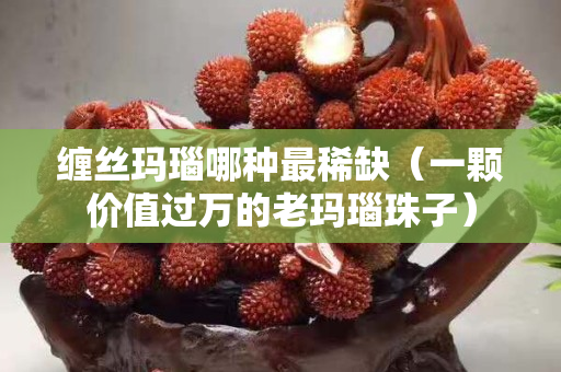 纏絲瑪瑙哪種最稀缺（一顆價值過萬的老瑪瑙珠子）