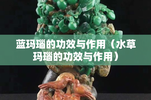藍瑪瑙的功效與作用（水草瑪瑙的功效與作用）