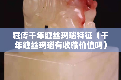 藏傳千年纏絲瑪瑙特征（千年纏絲瑪瑙有收藏價值嗎）
