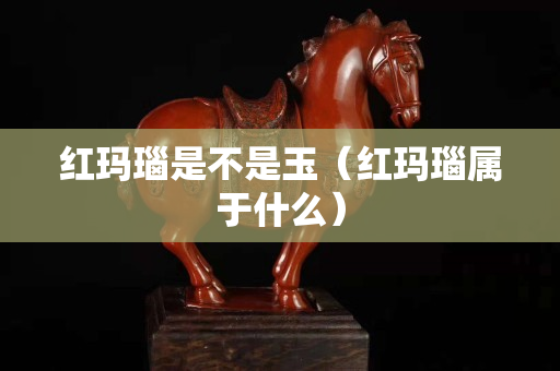 紅瑪瑙是不是玉（紅瑪瑙屬于什么）