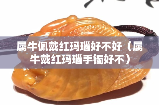 屬牛佩戴紅瑪瑙好不好（屬牛戴紅瑪瑙手鐲好不）