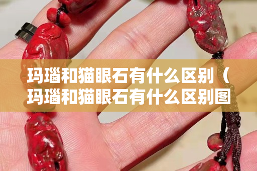 瑪瑙和貓眼石有什么區(qū)別（瑪瑙和貓眼石有什么區(qū)別圖片）