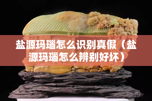 鹽源瑪瑙怎么識別真假（鹽源瑪瑙怎么辨別好壞）