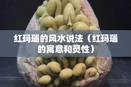 紅瑪瑙的風(fēng)水說法（紅瑪瑙的寓意和靈性）