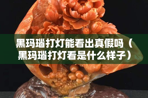 黑瑪瑙打燈能看出真假嗎（黑瑪瑙打燈看是什么樣子）