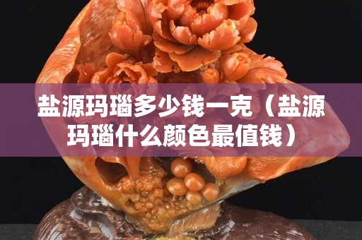 鹽源瑪瑙多少錢一克（鹽源瑪瑙什么顏色最值錢）