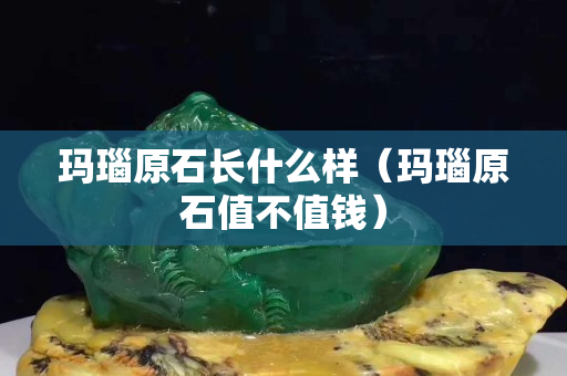 瑪瑙原石長什么樣（瑪瑙原石值不值錢）
