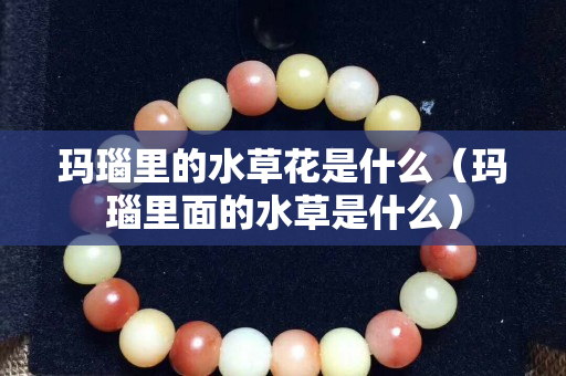 瑪瑙里的水草花是什么（瑪瑙里面的水草是什么）