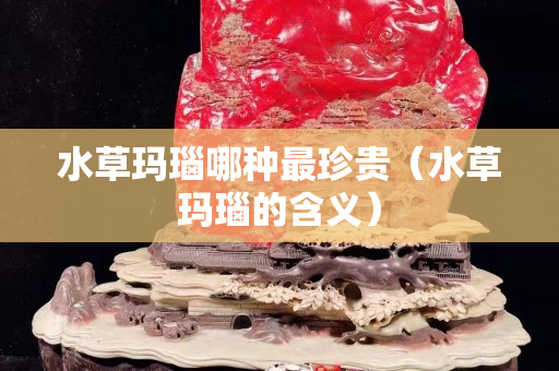 水草瑪瑙哪種最珍貴（水草瑪瑙的含義）