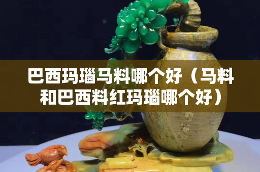巴西瑪瑙馬料哪個(gè)好（馬料和巴西料紅瑪瑙哪個(gè)好）