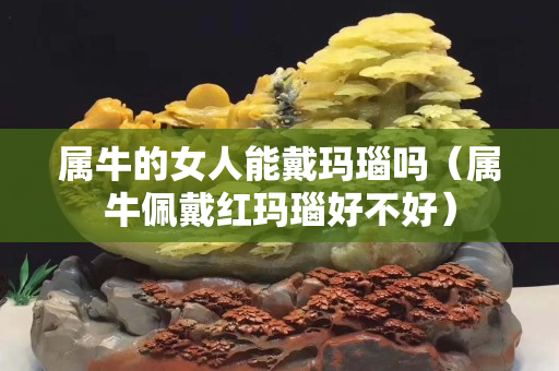 屬牛的女人能戴瑪瑙嗎（屬牛佩戴紅瑪瑙好不好）