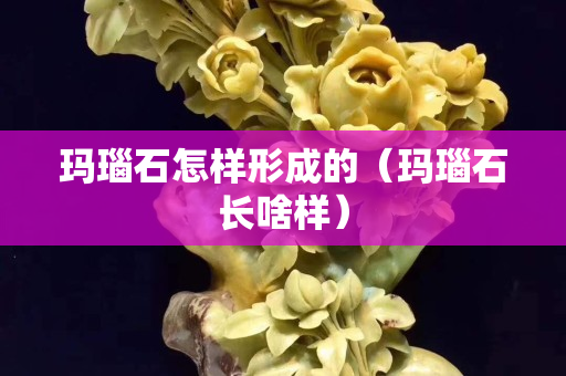瑪瑙石怎樣形成的（瑪瑙石長啥樣）