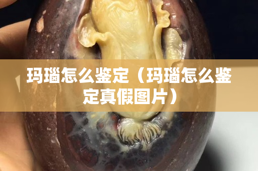瑪瑙怎么鑒定（瑪瑙怎么鑒定真假圖片）