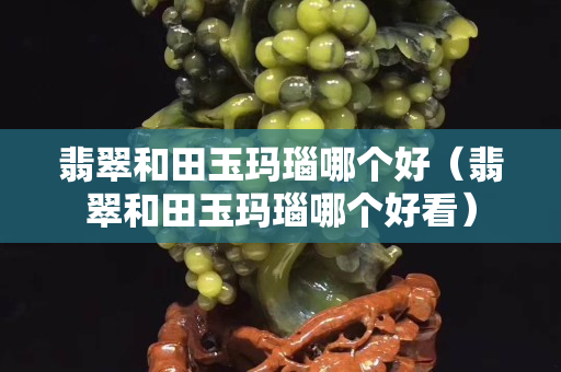 翡翠和田玉瑪瑙哪個好（翡翠和田玉瑪瑙哪個好看）