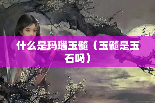 什么是瑪瑙玉髓（玉髓是玉石嗎）